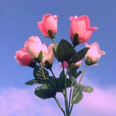 霹雳江湖无限元宝版下载